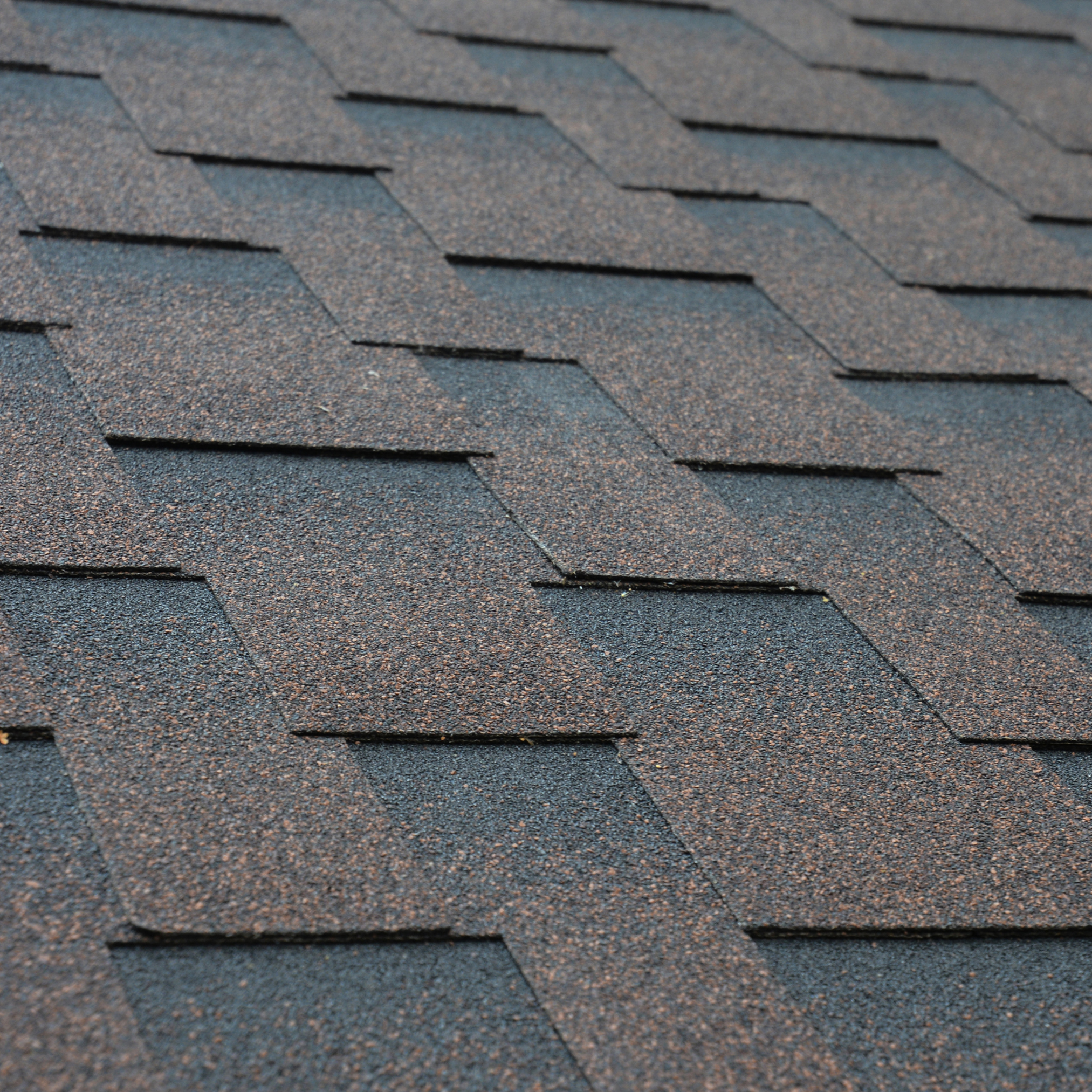 Basic – Shingle Roofing