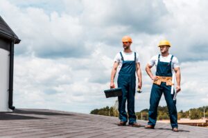 Professional Roof Inspections